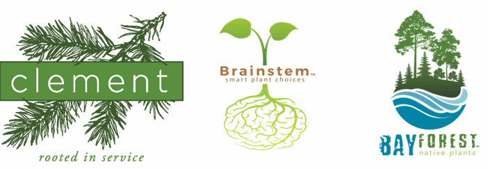 clement horticulture